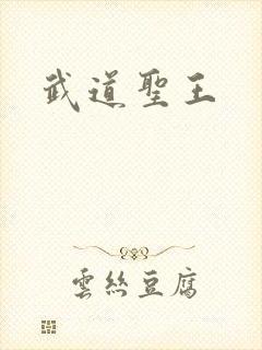 武道圣王