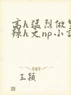 高h猛烈做哭高辣h文np小说