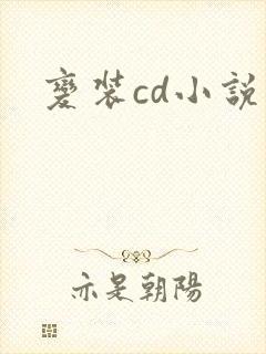 变装cd小说