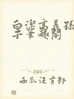 白洁高义孙倩东子笔趣阁封面