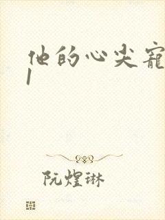 他的心尖宠1v1封面