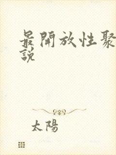 最开放性聚会小说封面