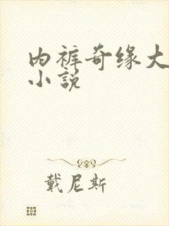 内裤奇缘大团结小说