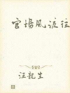 官场风流往事封面