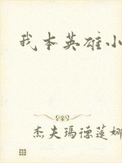 我本英雄小说