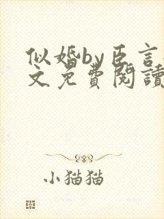 似婚by臣言全文免费阅读笔趣阁封面