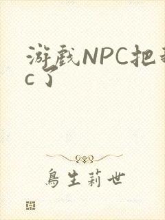 游戏NPC把我c了