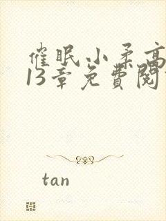 催眠小柔高达第13章免费阅读