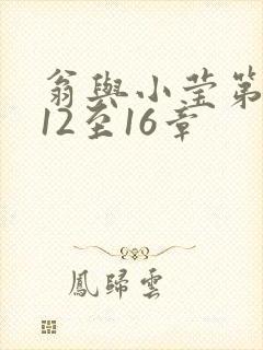 翁与小莹第十部12至16章封面