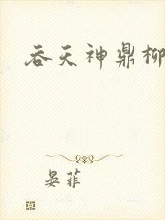 吞天神鼎柳无邪