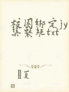 校园绑定jy收集系统txt封面