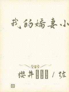 我的娇妻小说