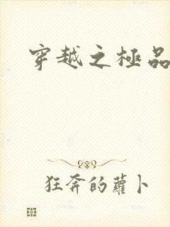 穿越之极品皇帝