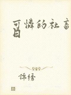 可怜的社畜东度日