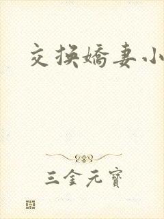 交换娇妻小说
