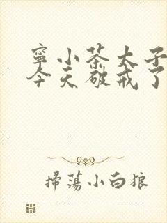 宁小茶太子殿下今天破戒了吗免费阅读