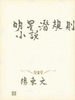 明星潜规则之皇 小说封面