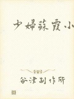 少妇苏霞小说封面