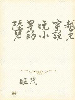 陆星晚穿越成婴儿的小说免费阅读全文