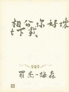 相公你好坏txt下载