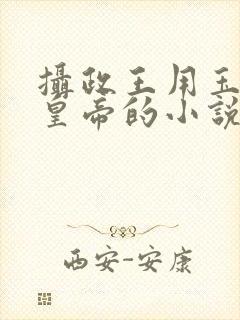 摄政王用玉髓整皇帝的小说