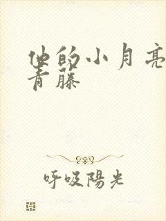 他的小月亮by青藤