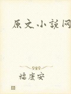 原文小说网封面