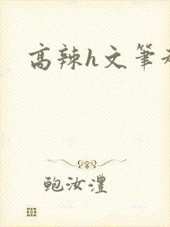 高辣h文笔趣阁