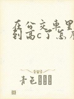 在公交车里c弄到高c了怎么办封面