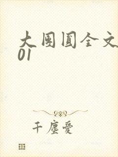 大团圆全文阅读01封面