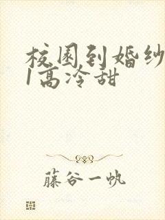 校园到婚纱1V1高冷甜封面