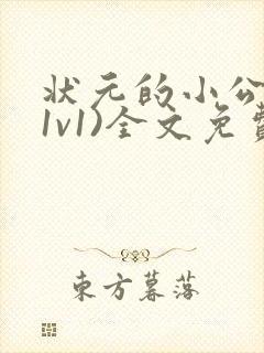 状元的小公主(1v1)全文免费阅读