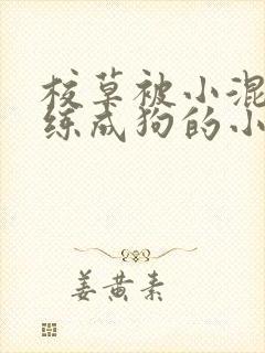 校草被小混混训练成狗的小说