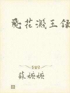 飞花溅玉录封面