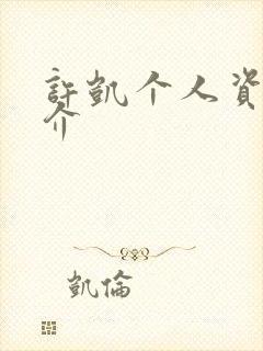 许凯个人资料简介