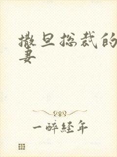 撒旦总裁的下堂妻