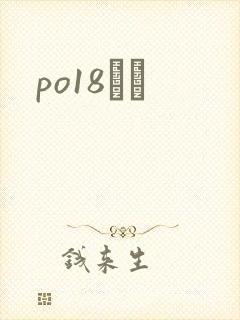 po18С˵封面