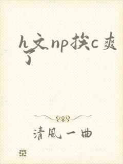h文np挨c爽了