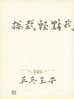 总裁轻点我怕疼封面