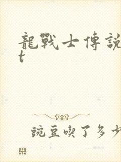 龙战士传说txt