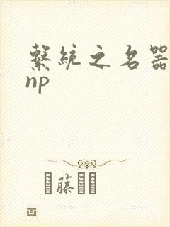 系统之名器攻略np