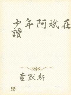 少年阿斌在线阅读封面