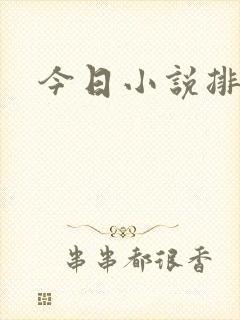 今日小说排行榜封面