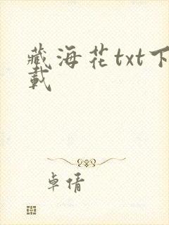 藏海花txt下载