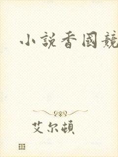 小说香国竞艳