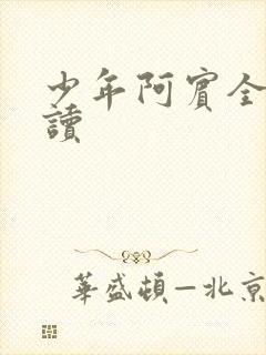 少年阿宾全集阅读