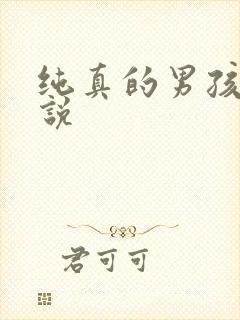 纯真的男孩子小说封面