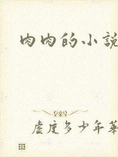 肉肉的小说