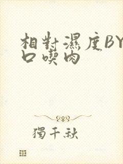 相对湿度BY大口吃肉