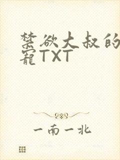 禁欲大叔的心尖宠TXT封面